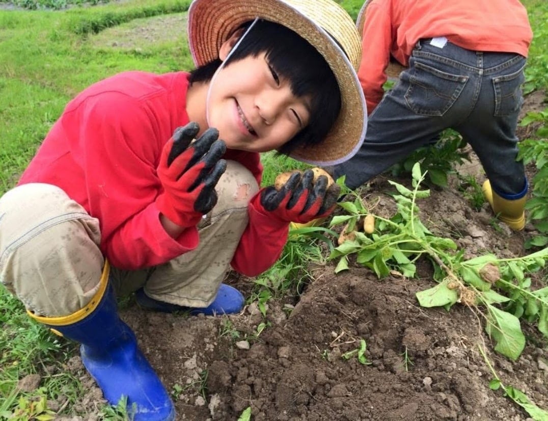 畑で農作業のイメージ写真